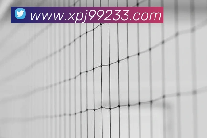 xpj品牌故事